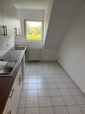 WhatsApp Bild 2024-08-20 um 16.55.51_190e4498.jpg - 