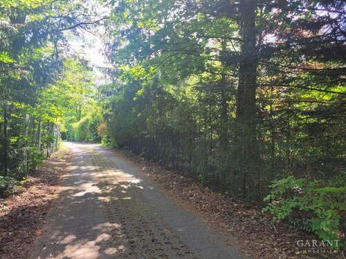 Straße zum Grundstück - Grundstück in Trippstadt