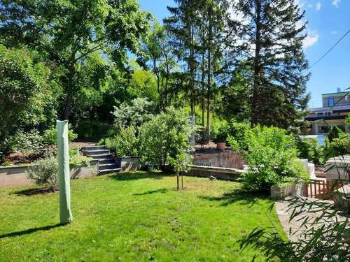 Blick in den Garten - 