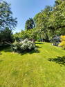 Garten mit Gewächshaus - 
