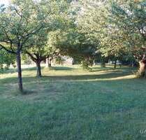 Traumhaftes Grundstück in exzellenter Lage mit großzügigem Gartenparadies - Göppingen Stadtgebiet