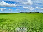 Umgebung - 