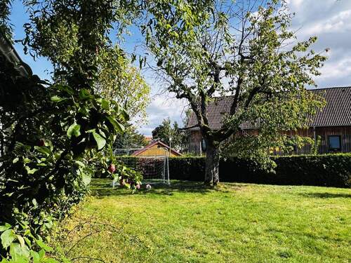 Blick in den Garten - 