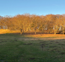 Großzügiges Grünlandgrundstück in ruhiger Lage am Nordperd - Göhren