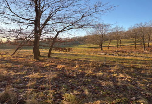 {A3817290-ACAD-4A4C-BF36-2E2B3C5A5DD4