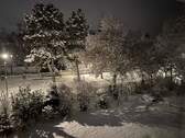 Winterimpression - 