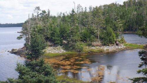 Insel-Kleinod - 