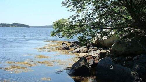 Impressionen Meeresbucht - 