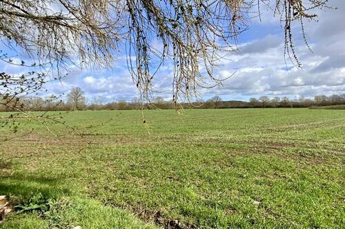 Blick zum Feld - Doppelhaushälfte mit 98,00 m&sup2; in Stockelsdorf zum Kaufen