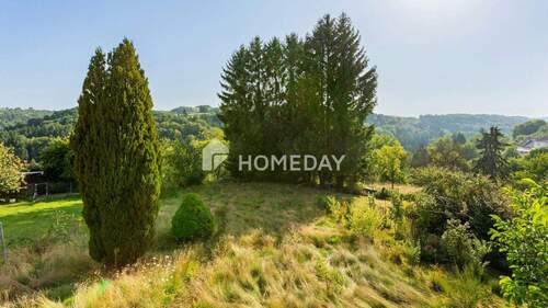 Ausblick - 6 Zimmer Einfamilienhaus in Battweiler
