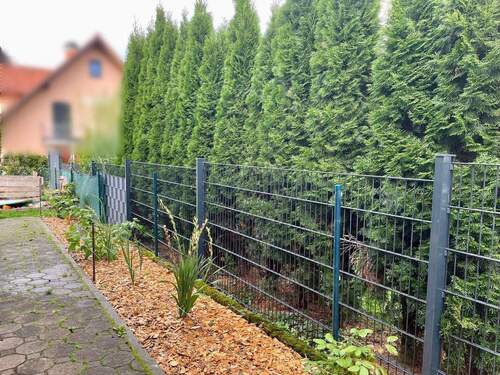 Sichtschutz zum Nachbar - 