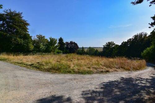 Ansicht - Baugrundstück in Crimmitschau inkl. Bauprojekt