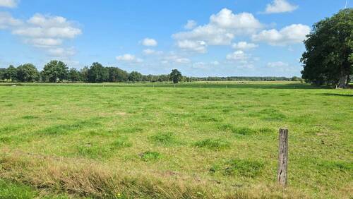 Blick vor der Haustür - 
