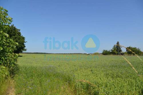 Feld - Einfamilienhaus mit 146,20 m² in Mockrehna zum Kaufen