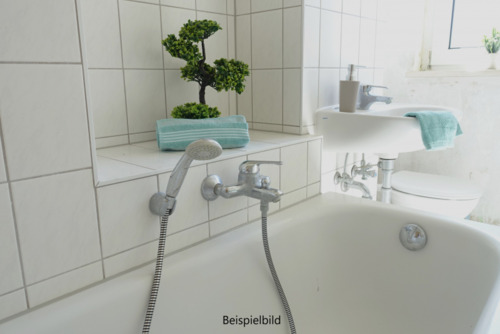 Detailansicht - 2 Zimmer Etagenwohnung zur Miete in Braunsbedra