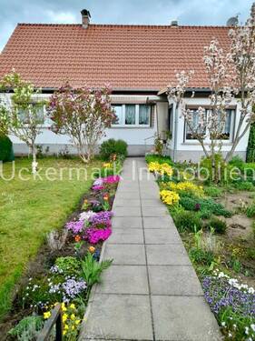 Hausansicht - 3 Zimmer Mehrfamilienhaus, Wohnhaus zum Kaufen in Templin