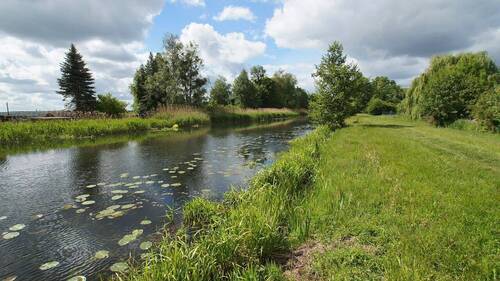 BILD5 - 