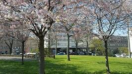 Hausansicht - 1 Zimmer Etagenwohnung zum Kaufen in Nürnberg