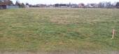 20230118_140909.jpg - Grundstück zum Kaufen in Roskow