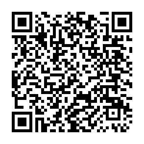 QR-Code - 
