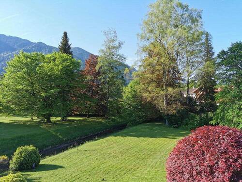 Blick in Gemeinschaftsgarten - 