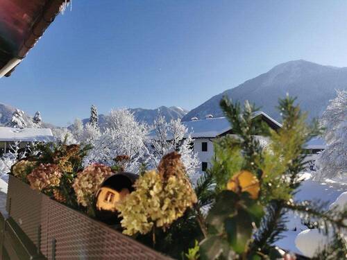 Blick im Winter - 
