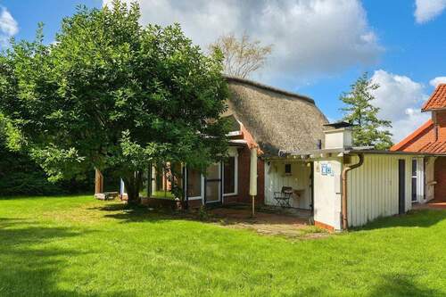 Gartenansicht Reetdachhaus - Reetdachhaus mit sep. Ferienhaus nh. dem Elbstrand Krautsand