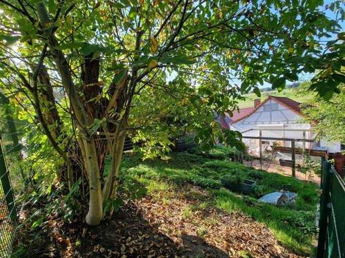 Garten und Terrasse (FILEminimizer) - Gemütliches Häuschen mit Scheune und Garten