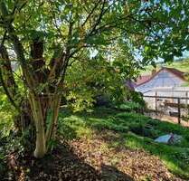 Gemütliches Häuschen mit Scheune und Garten - Lützelbach / Breitenbrunn