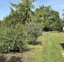 Grüne Oase mit Charakter - ruhig gelegen und stilvoll modernisiert - Steinmauern