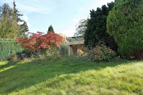 Blick in den Garten - 