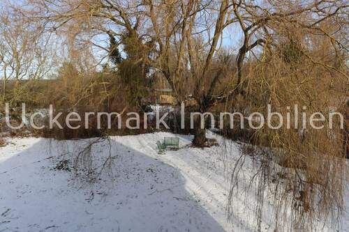 Winterimpression - 