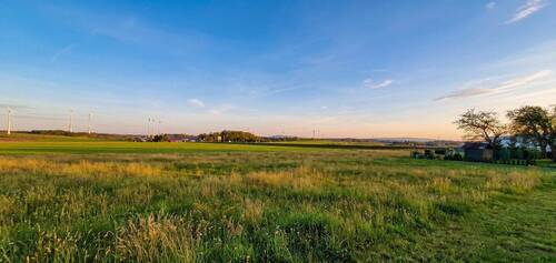 Aussicht von der Terrasse aus - 5 Zimmer Einfamilienhaus in Gattendorf