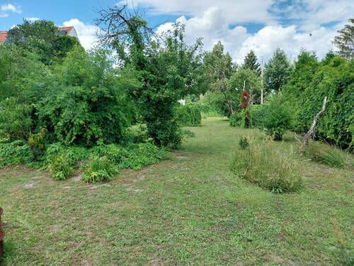 Blick Richtung Straße.jpg - Grundstück im ländlichen Raum - 68.000,00 EUR Kaufpreis, ca.  0,00 m²