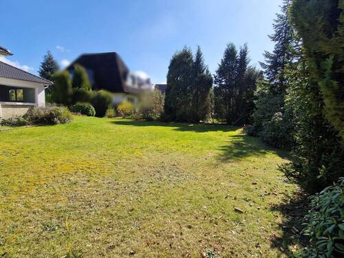 Blick in den Garten - 