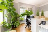 Büro - Repräsentatives Altbaubüro mit Stuck & Flügeltüren - möbliert, WLAN