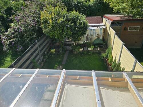 Blick in den Garten - 