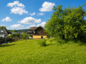 Wiese vor dem Haus - 6 Zimmer Mehrfamilienhaus, Wohnhaus in Saalfeld