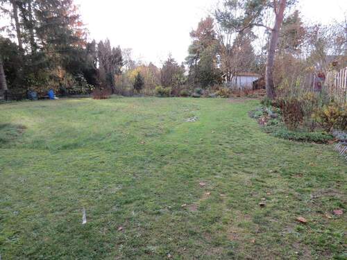 Blick in den gemeinschaftlichen Garten - 