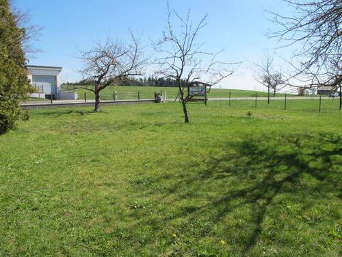 Garten - 7 Zimmer Einfamilienhaus zum Kaufen in Dornhan