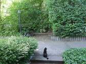 Eingang mit Bijou - 