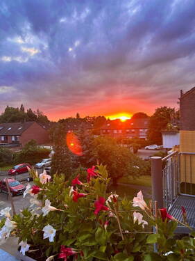 Bild 12 - 