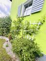 Fassaden Ansicht - 