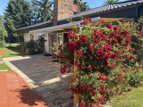 Terrasse - Ein Hauch von Schweden-Feeling in Pfälzer Idylle - freistehender Bungalow mit traumhafter Fernsicht!