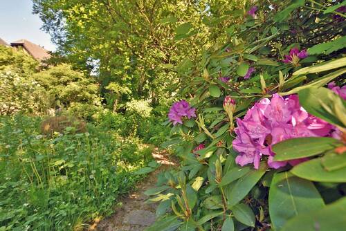 Garten - 