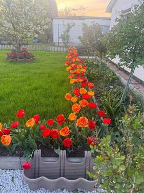 Garten - 