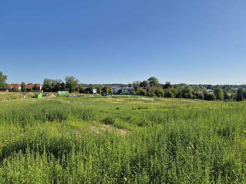 Blick über Grundstück - 