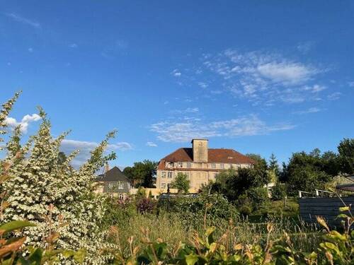 Oberer Kopfbau von Nordwest (1) - 