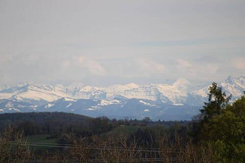 Aussicht Schweizer Alpen - 