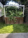 Hochbeet im Garten - 